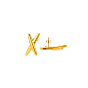 X Earrings